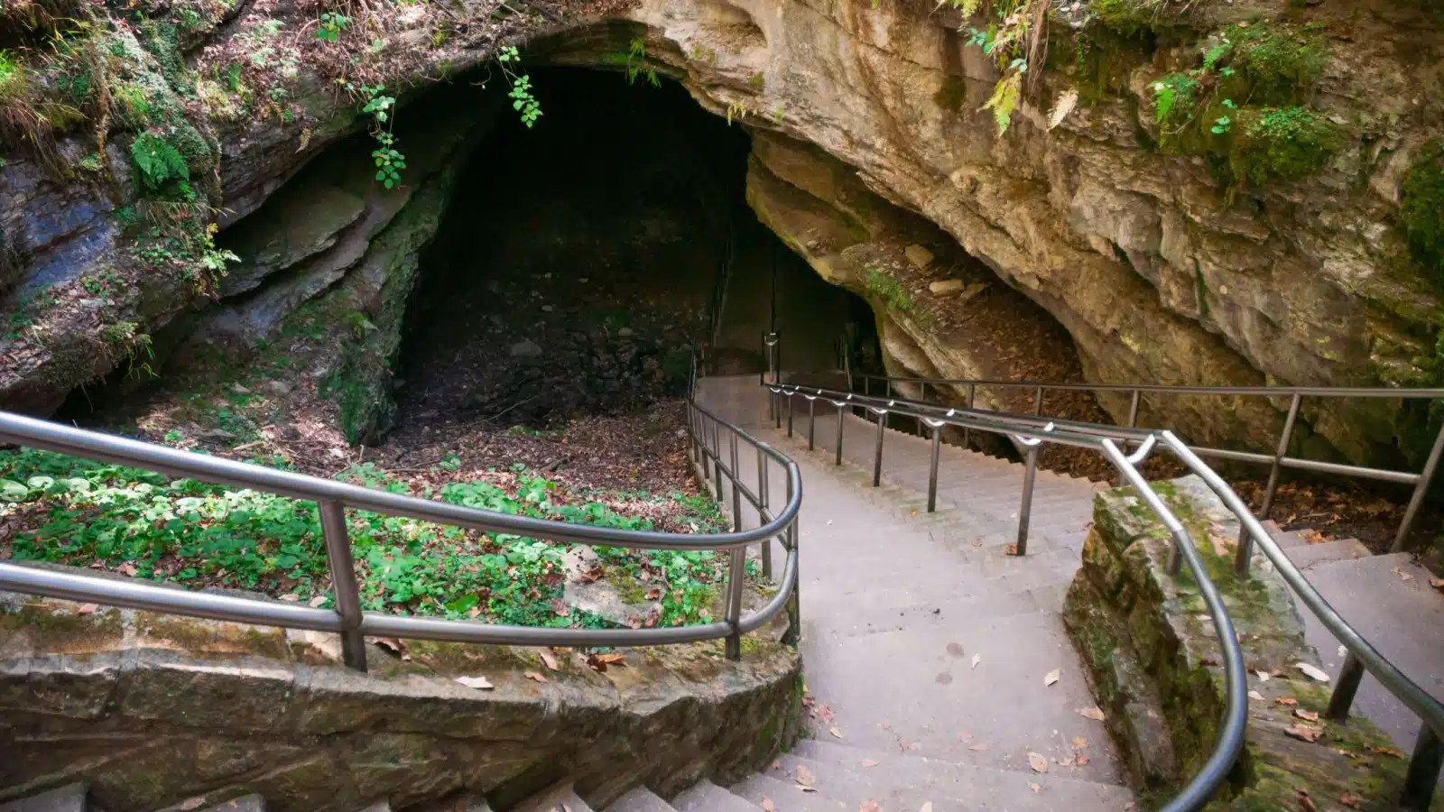 A stairway leading down into the cave at Mammoth Cave National Park.