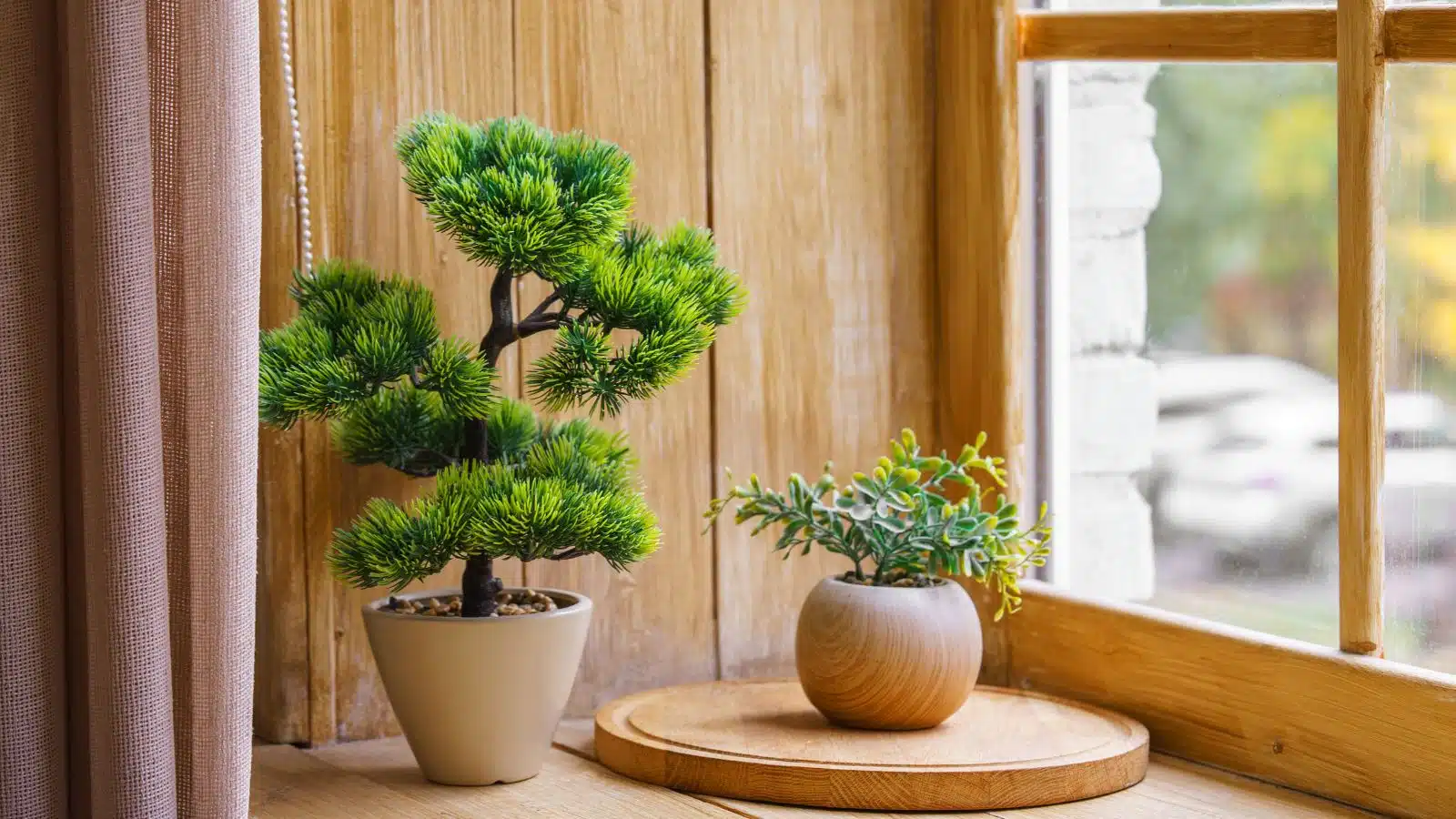 Two bonsai plants next to a wooden window.