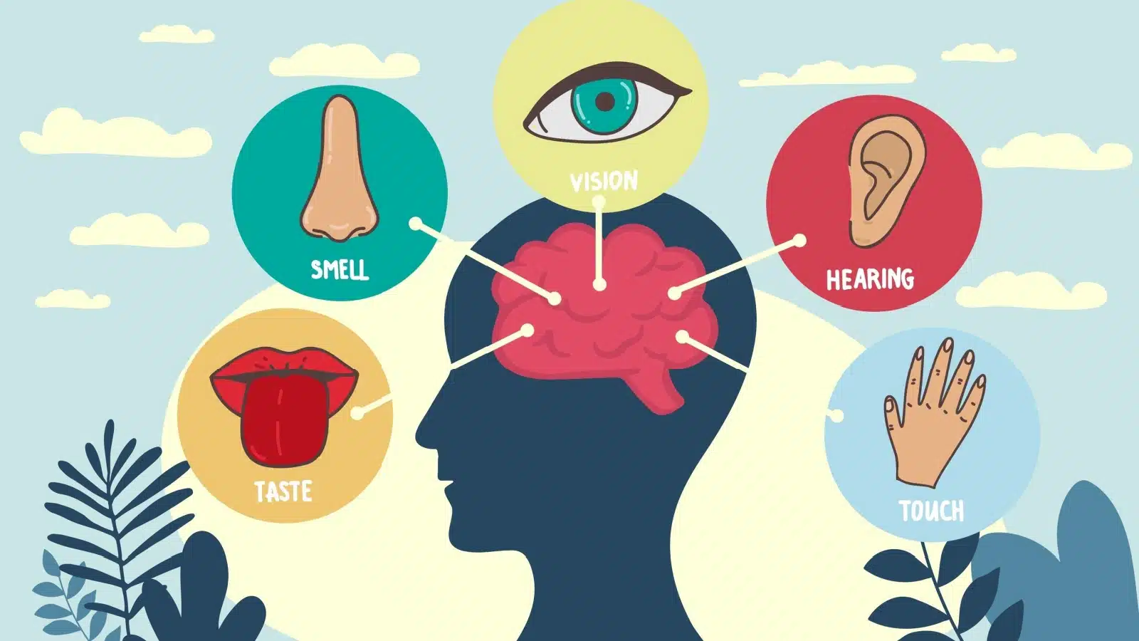Illustration highlighting the five senses.