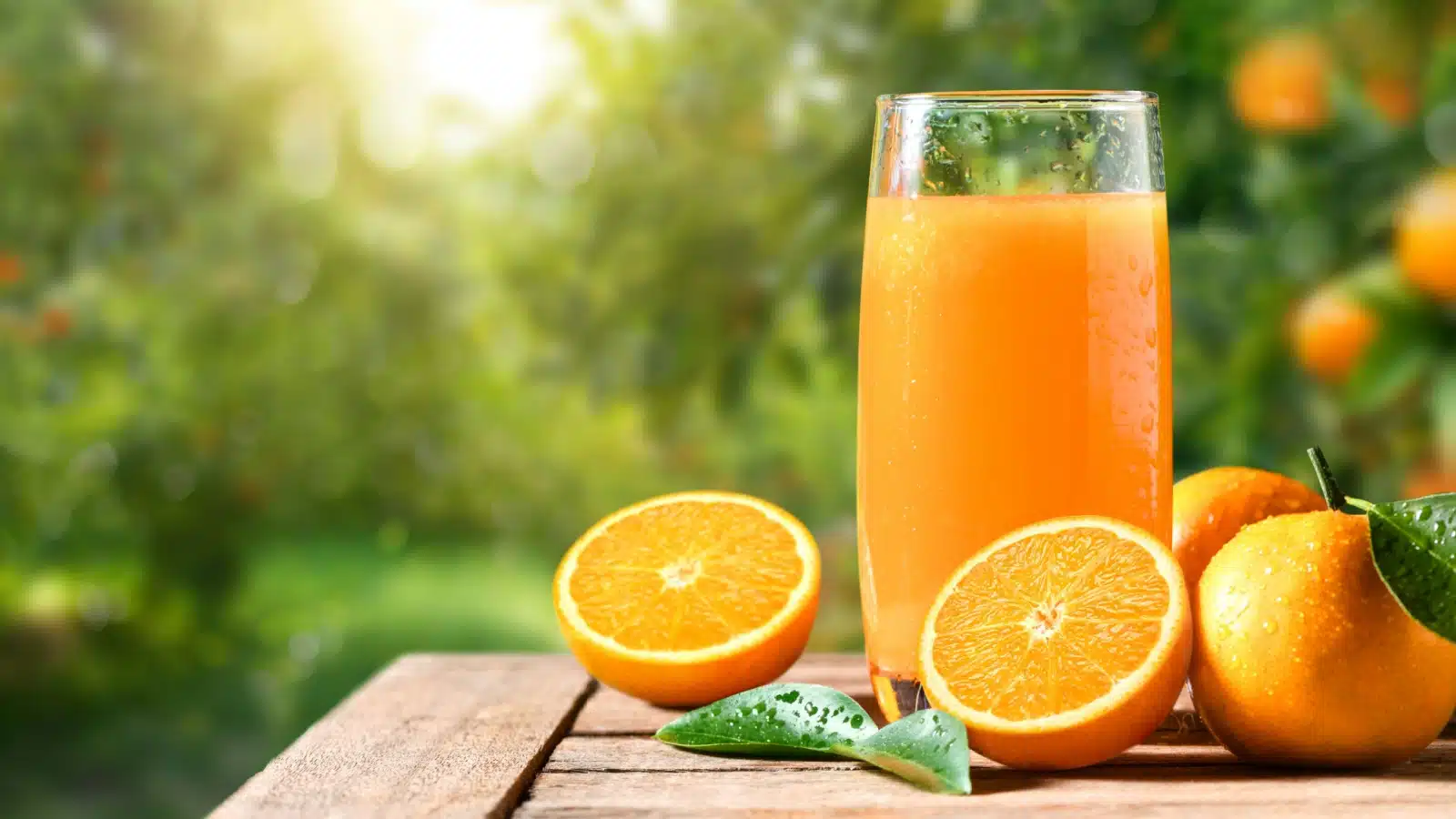 Freshly squeezed orange juice on a picnic table.
