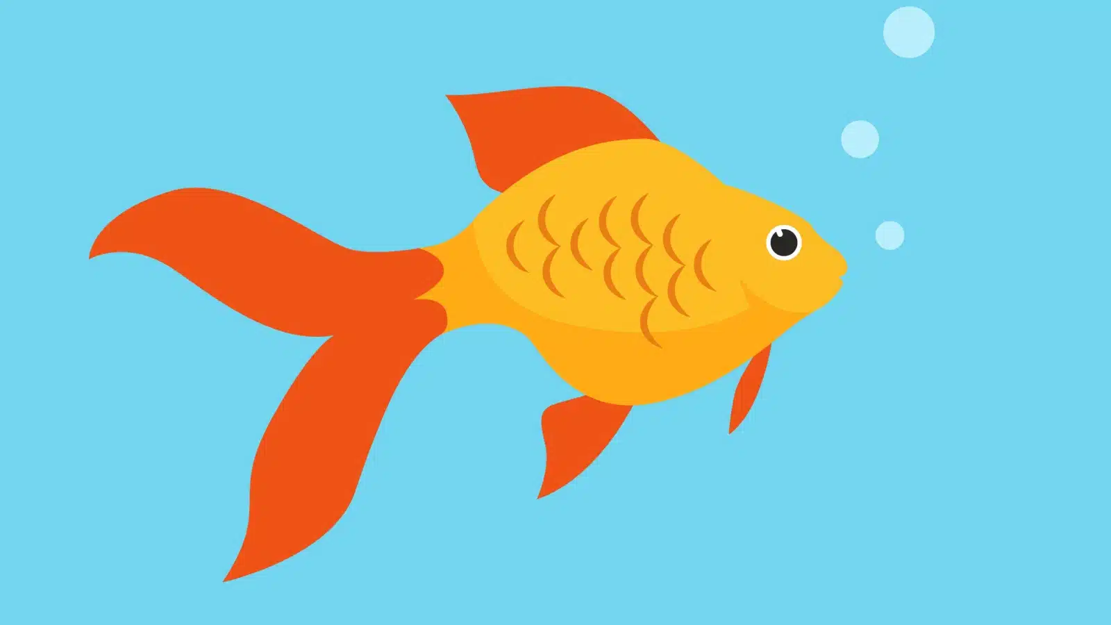Bright illustration of a goldfish in blue water.
