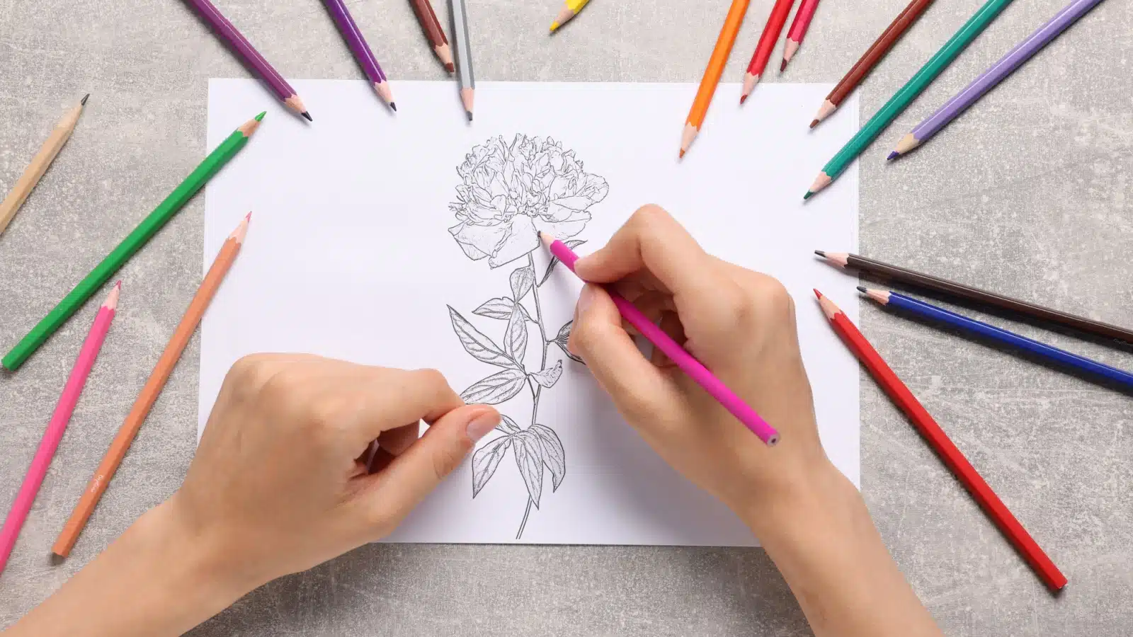 A person draws a flower with colored pencils.