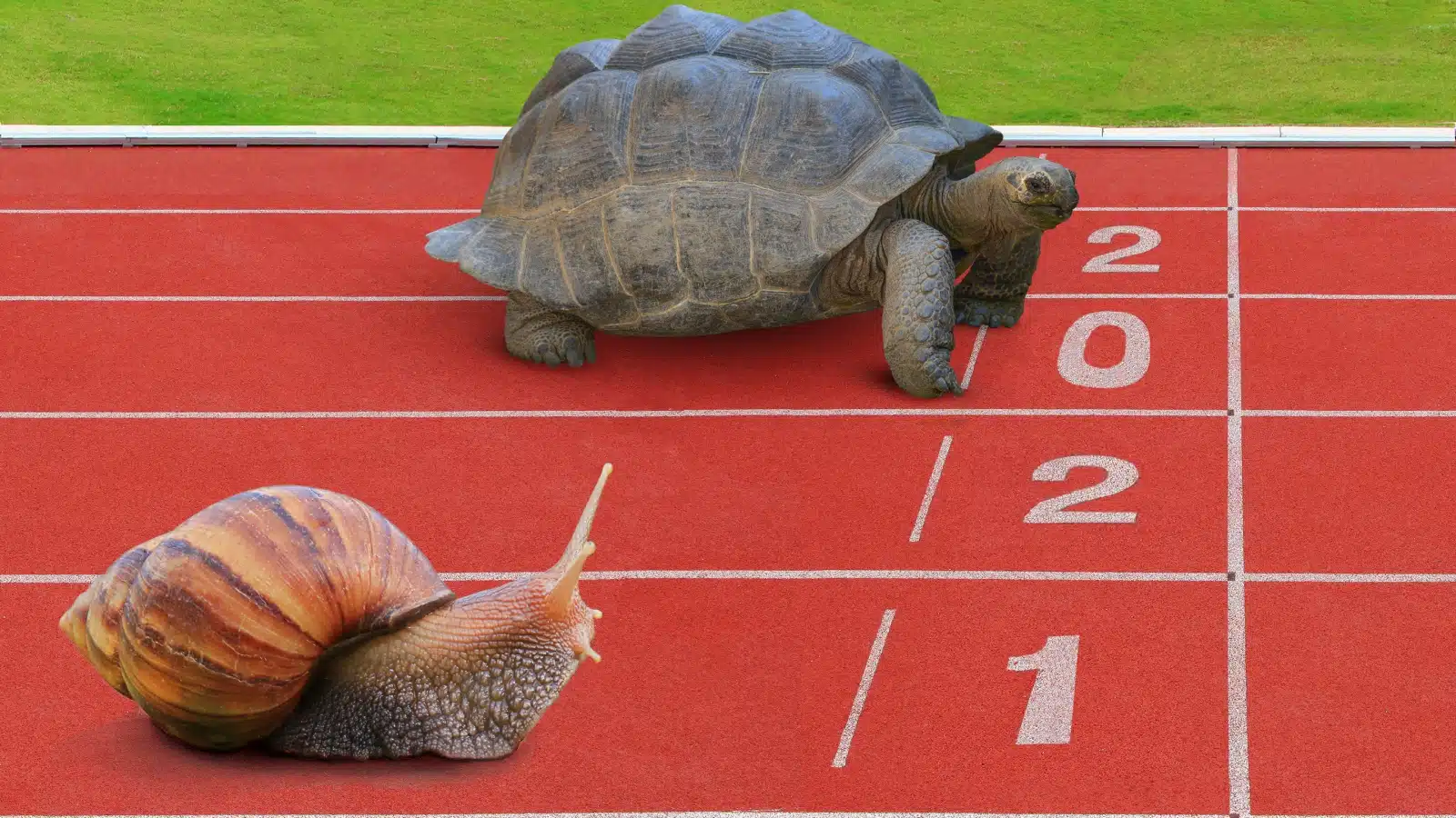 A turtle and a snail on a racetrack to represent living at a slower pace.