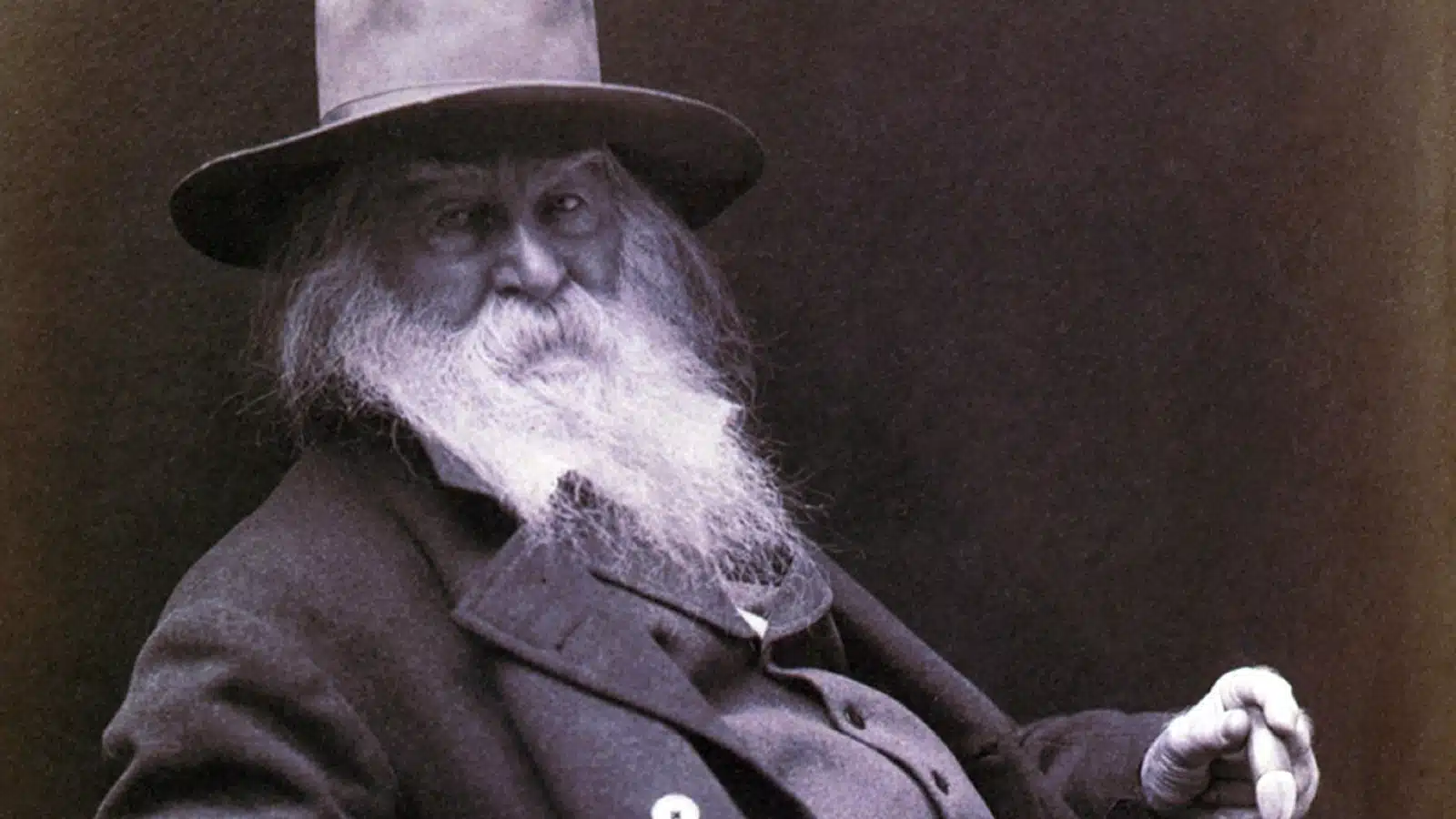 Portrait of Famous American poet Walt Whitman. 