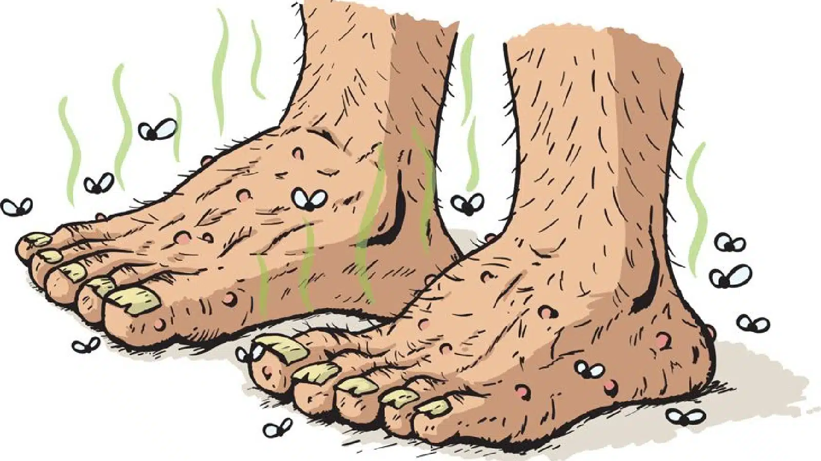 Smelly cartoon feet with big hairy toes. 