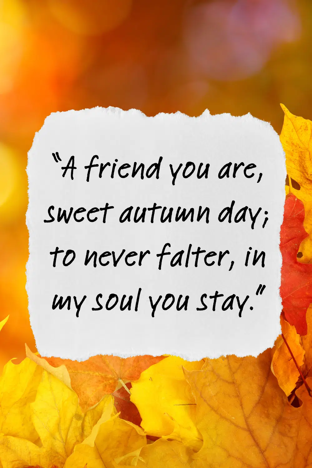 A graphic showcasing the fall quote "a friend you are sweet autumn day"