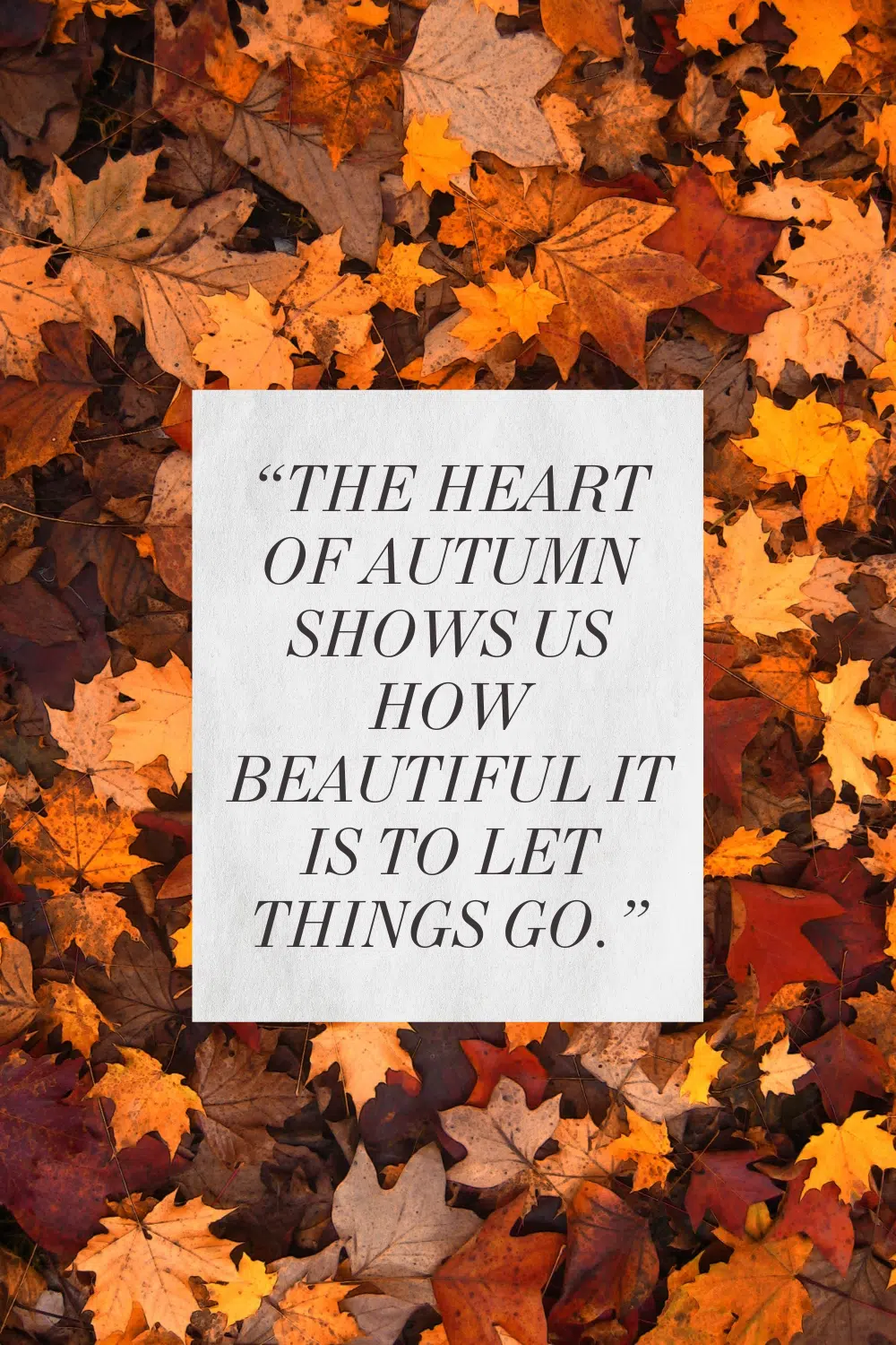 Graphic with the autumn quote "the heart of autumn shows us how beautiful it is to let things go"