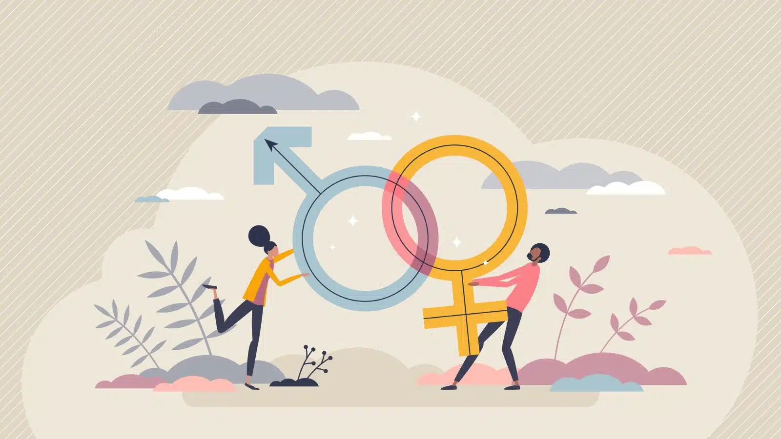 Illustration of the universal gender signs intertwined. A man is pulling on the feminine symbol while a woman pulls on the masculine symbol.