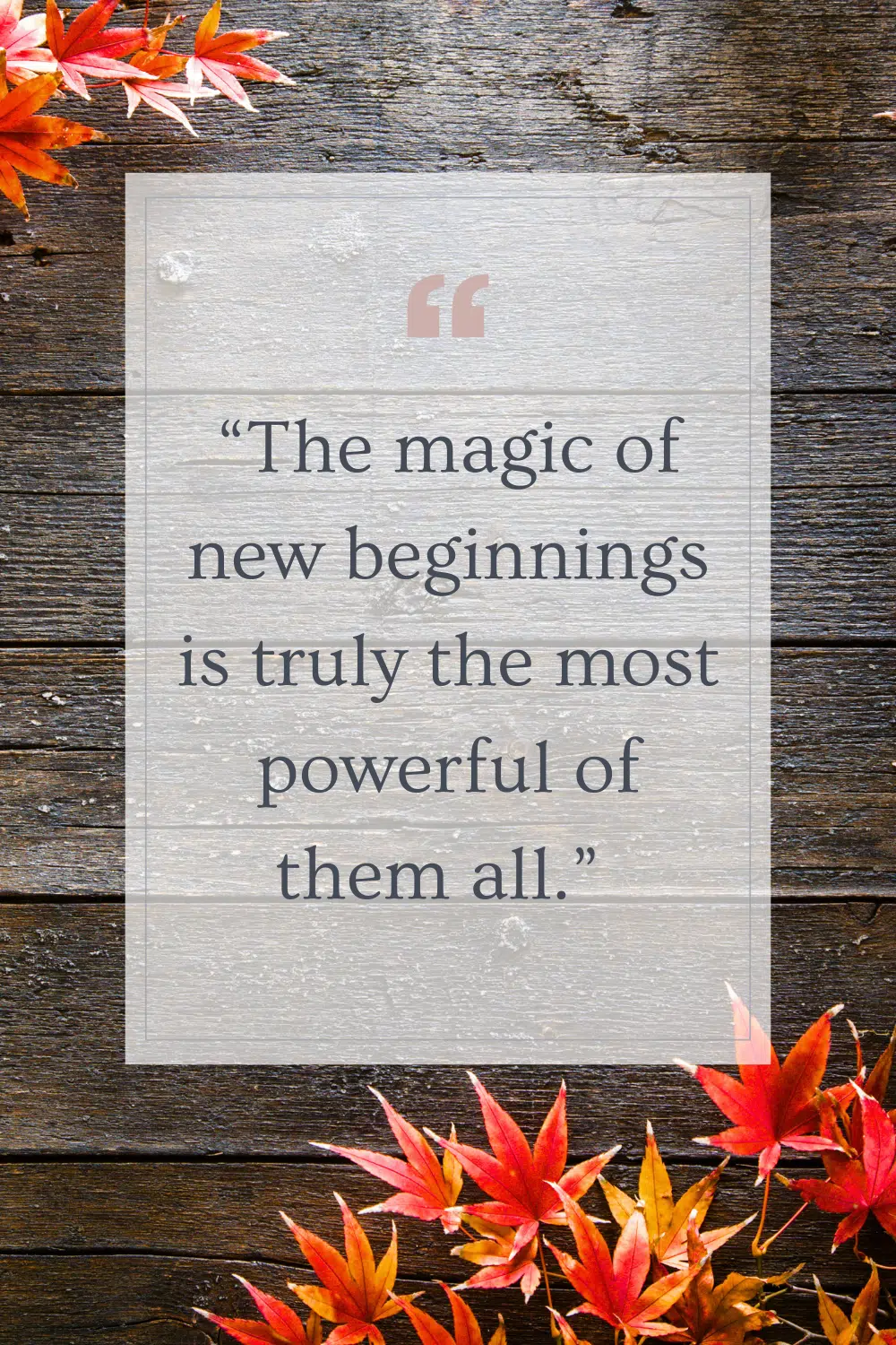 Graphic with the fall quote "the magic of new beginnings is truly the most powerful of them all"