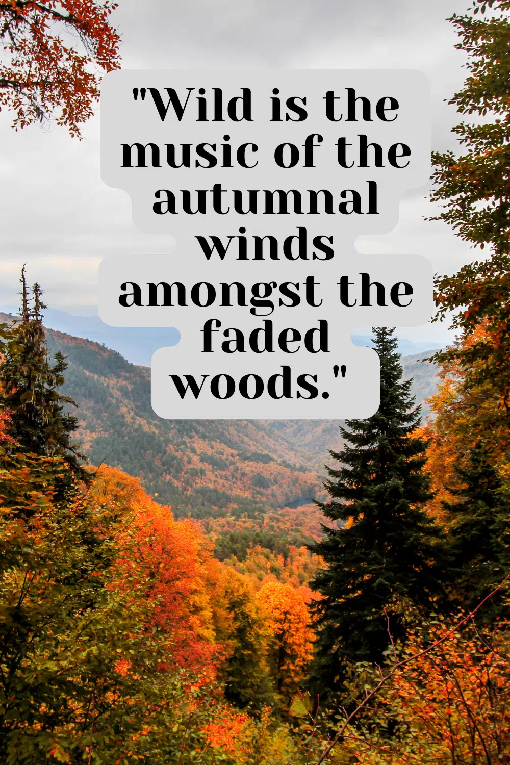Graphic showing the fall quote wild is the music of autumn winds. 
