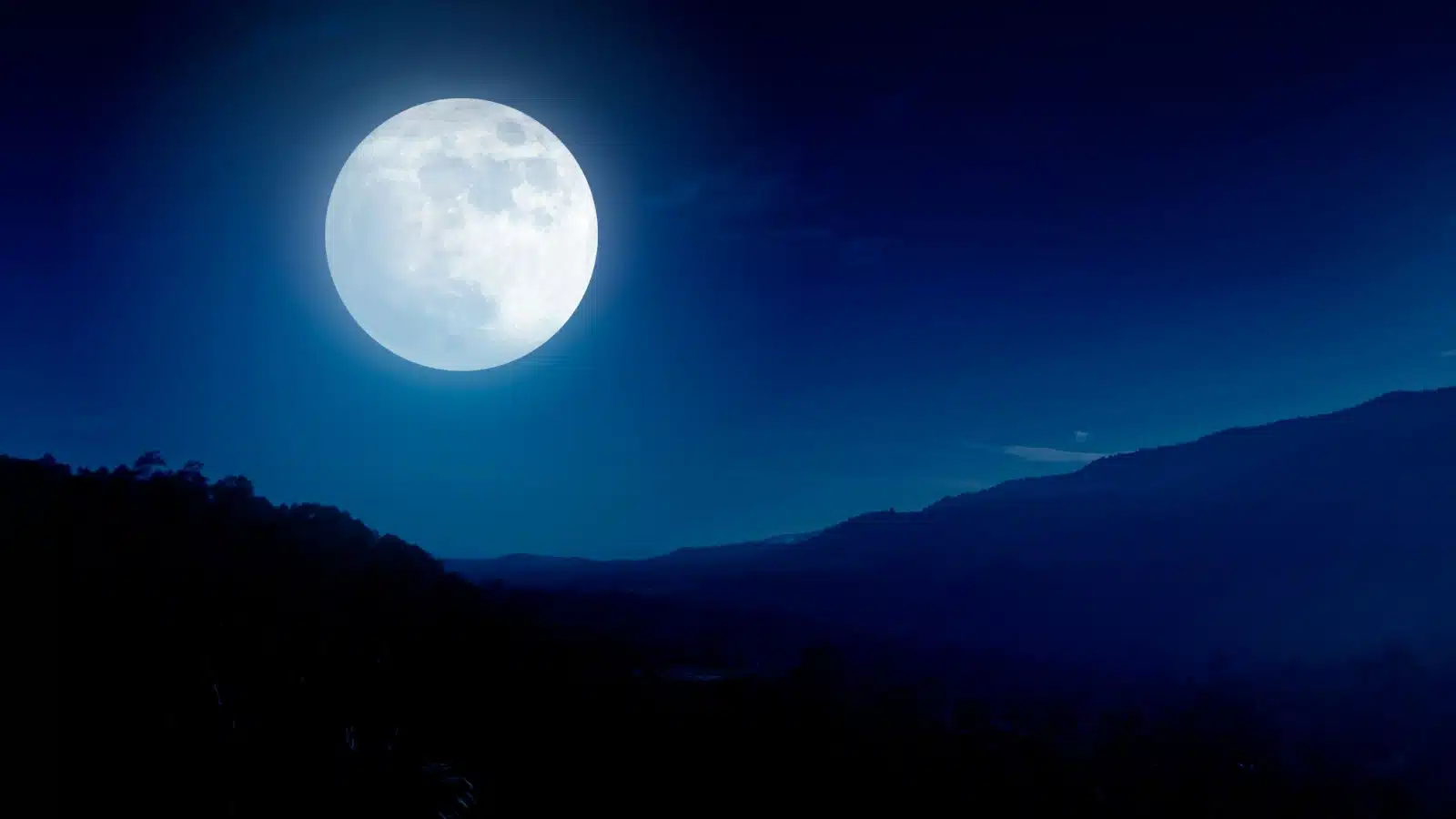 A full moon rises in the dark sky above a forest.