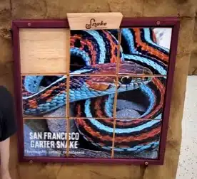 The Sliding Tile Puzzle Cody Made for Snake Discovery.