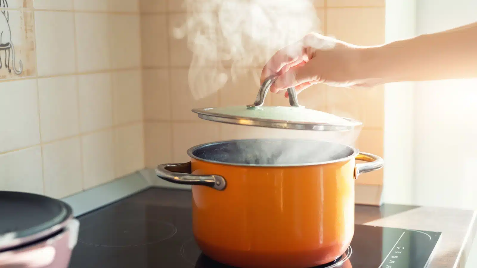 A pot of boiling water on the stove.