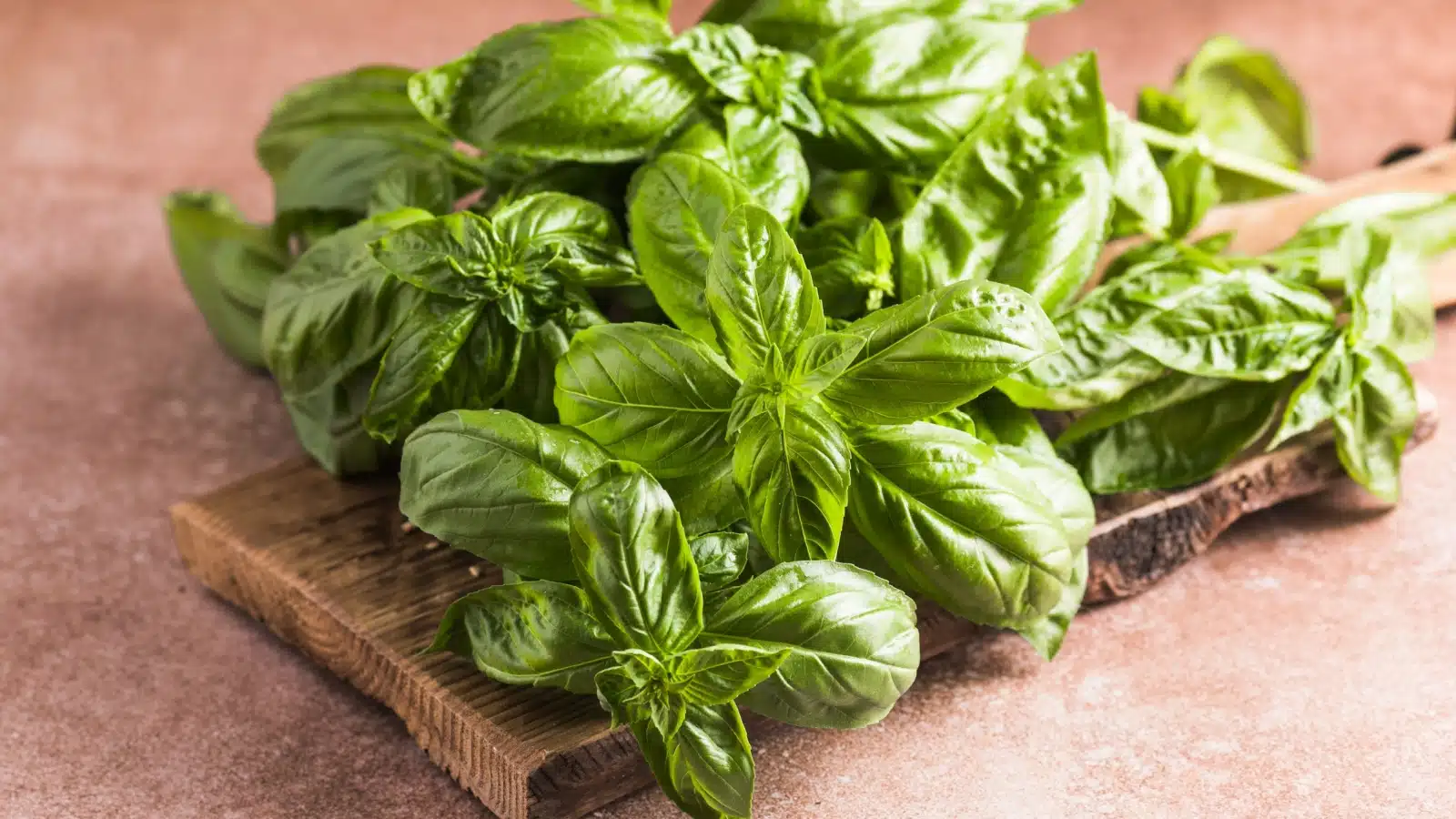 Fresh basil on a cutting board.