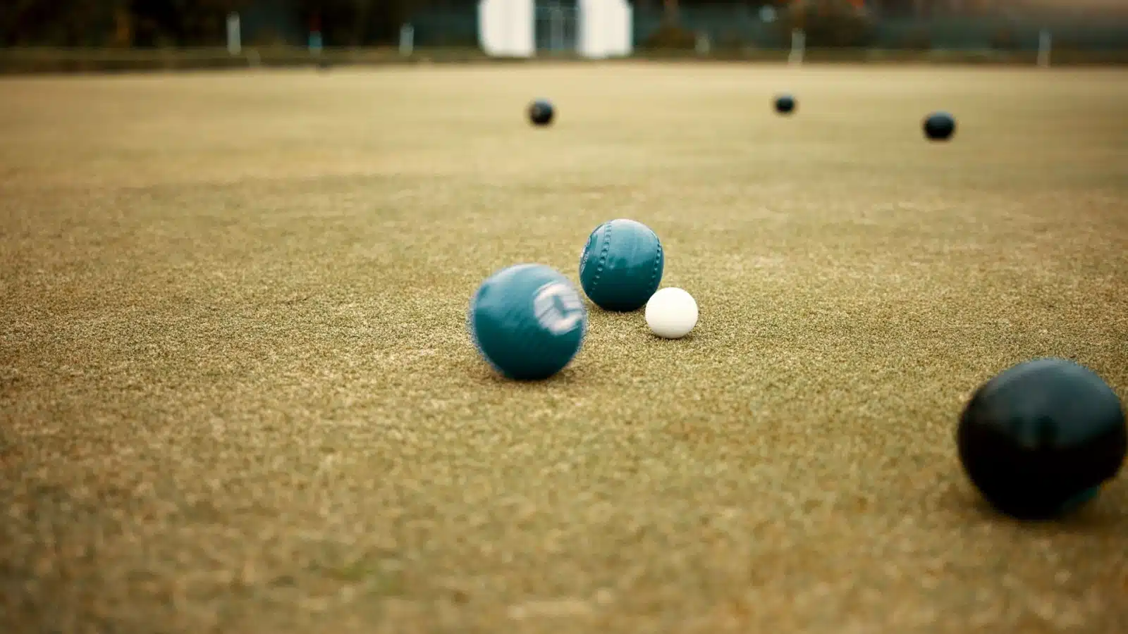 Balls on short grass to represent lawn games.