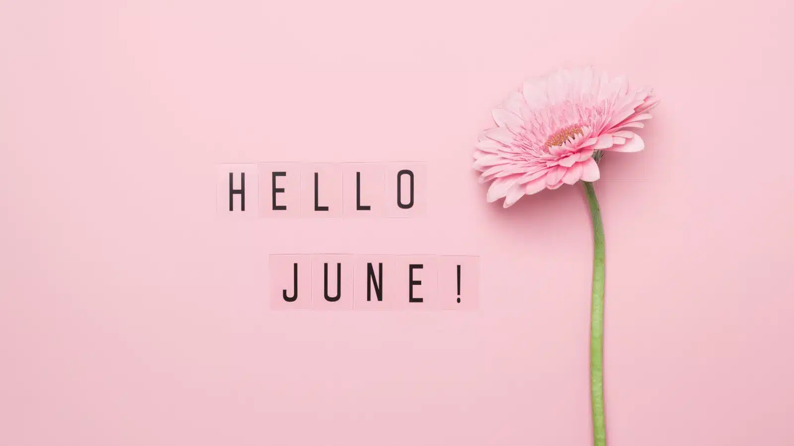 Graphic that says "hello June" on a pink background.